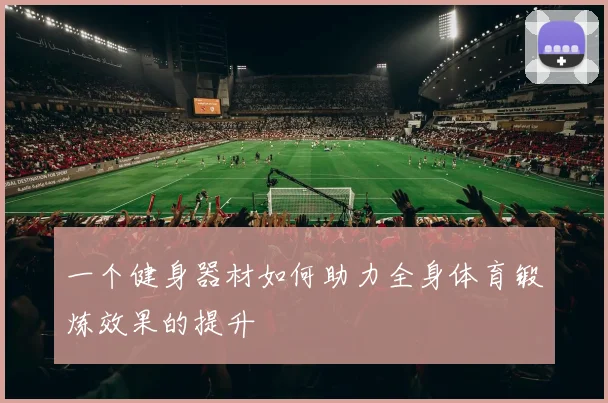 一个健身器材如何助力全身体育锻炼效果的提升