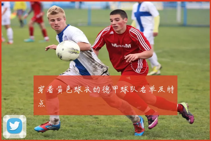穿着黄色球衣的德甲球队名单及特点