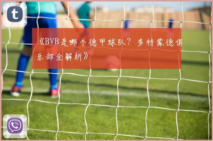 《BVB是哪个德甲球队？多特蒙德俱乐部全解析》