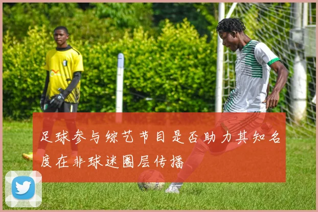 足球参与综艺节目是否助力其知名度在非球迷圈层传播